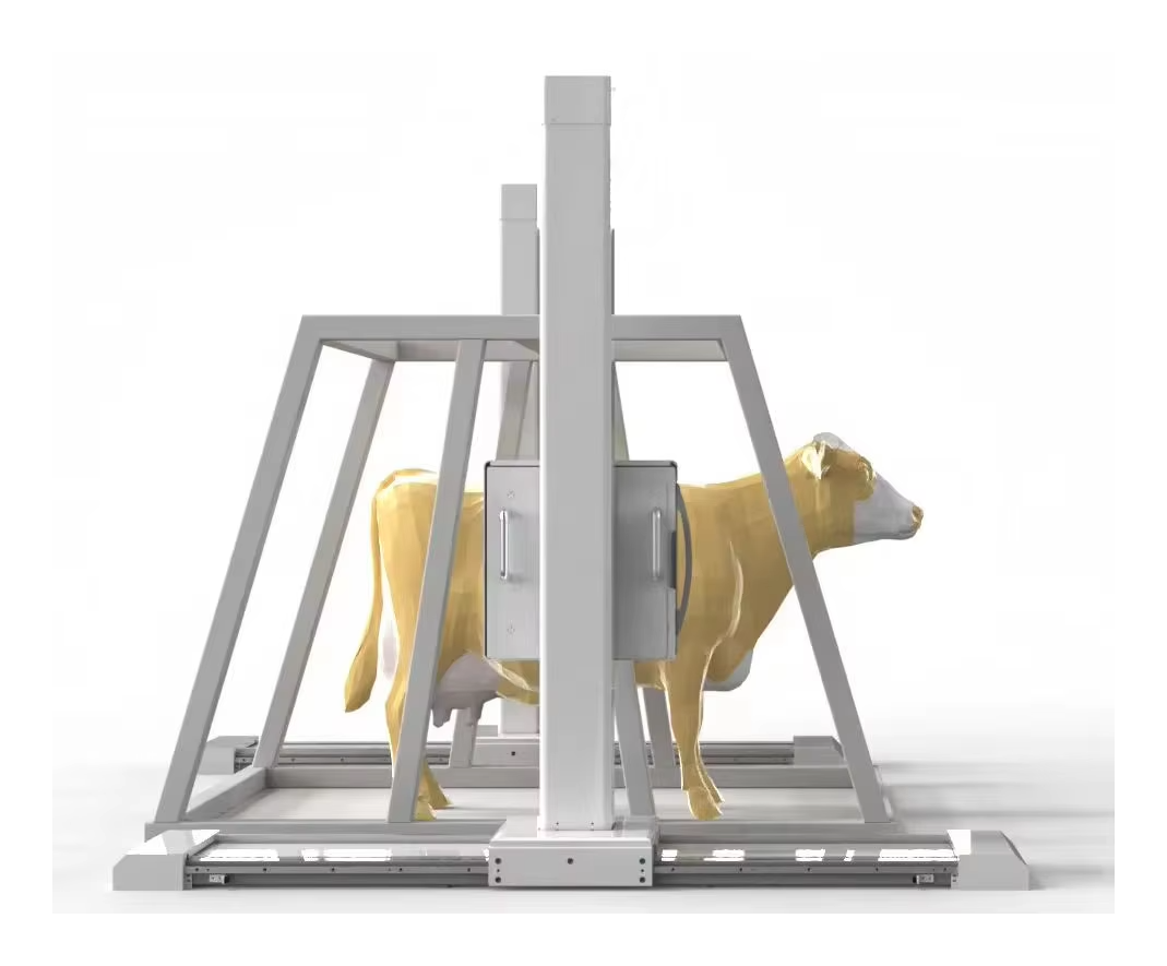 iVision-1000 standing-scan configuration with large-animal restraint stocks, inside view