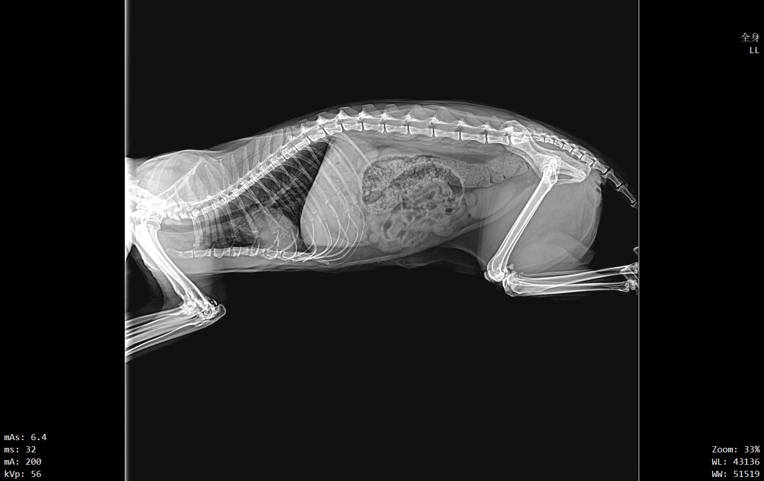 Real radiograph taken with a wide-open field: the whole image sits under grey fog (de-identified)