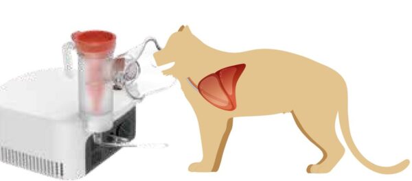 vcn2-feline-mask.jpg Illustration of VCN2 nebulizer mask delivering aerosol to the lower respiratory tract of a feline patient