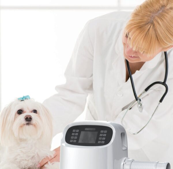 vhb-clinical.jpg VHB forced-air warming unit on the examination table beside a canine patient and veterinarian