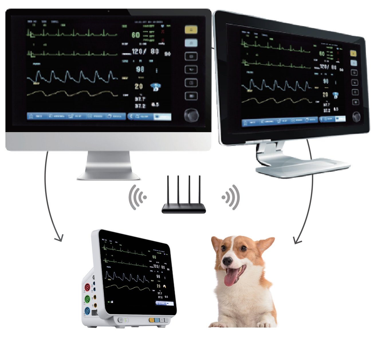 VM14Pro veterinary monitor connected to central monitoring stations through a wireless router